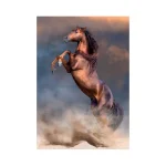 Wild Horse - Clementoni jigsaw puzzle, 500 pieces