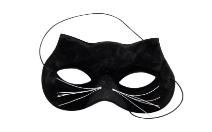 Carnival toys cat mask