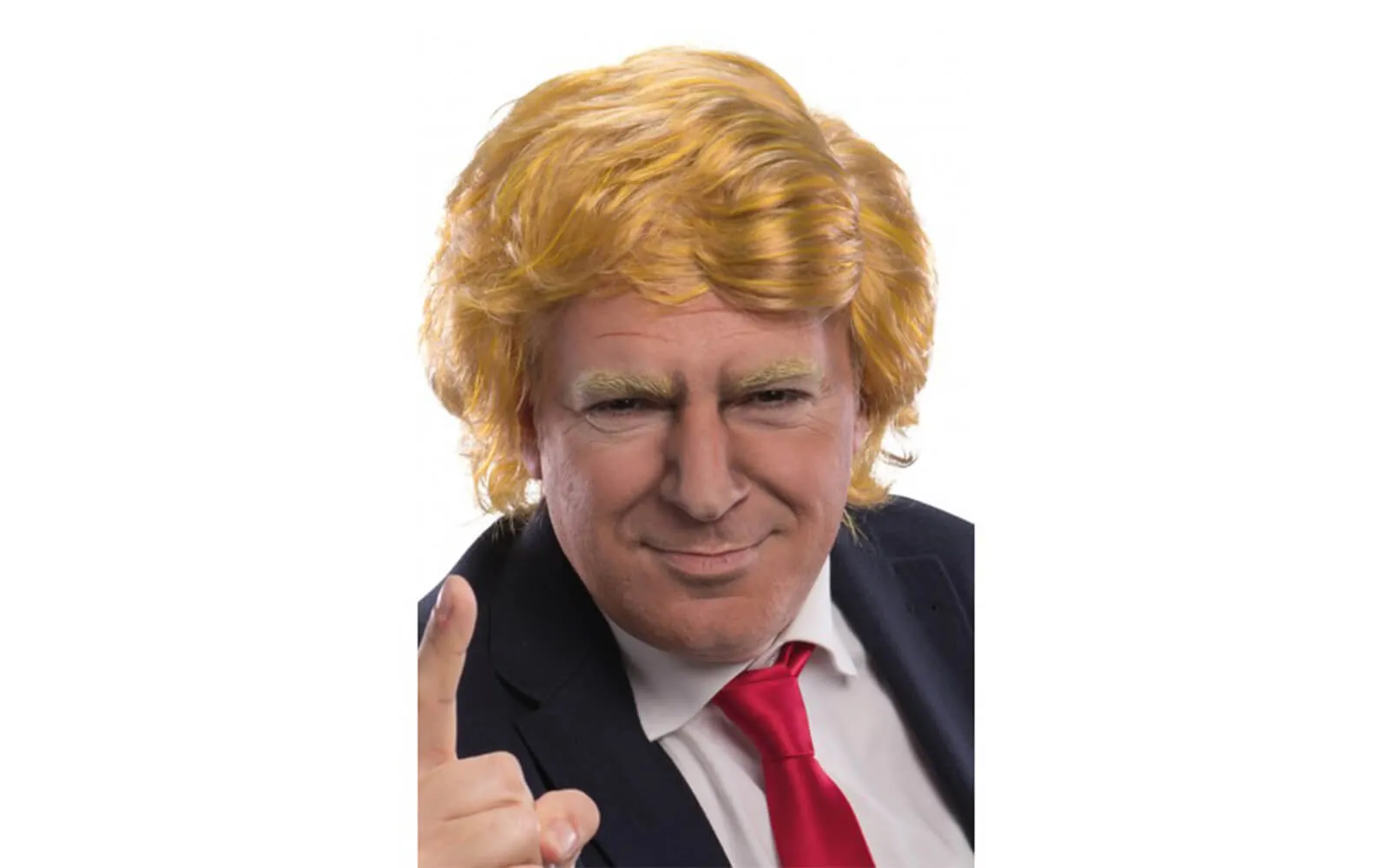 Donald's carnival wig Donald's carnival wig