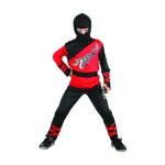 Ninja dragon costume