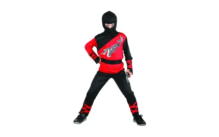 Ninja dragon costume