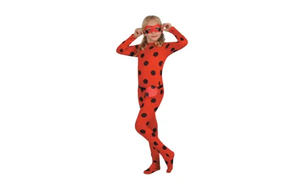 Ladybug costume