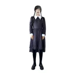 Black wig with braids