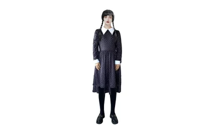 Black wig with braids