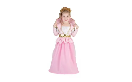 Baby fairy princess costume