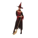 Adult Carnival Costume-Witch