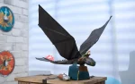 Real flying rc Toothless, Wie Sie Ihren Dragon-11 trainieren